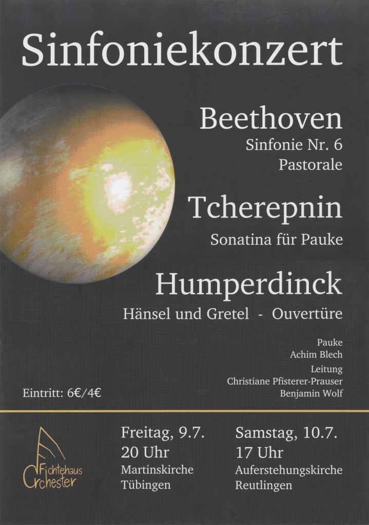 Freie Sinfonie Plakat Sommer 2010 2